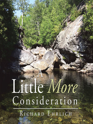 cover image of A Little More Consideration